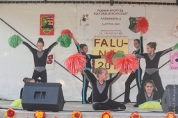 falunap2014_27_20180901